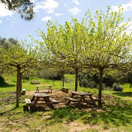 Farm stay Casa De Colonies, El Ginebro *